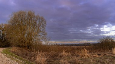 Podlasie 'deki Suprasl Nehri' nin sulak arazisi. Gün doğumunda bir yürüyüş sabahı..