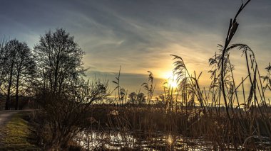 Bir bahar günü Podlasie 'de çayırların ve ormanların üzerinde gün doğumu.