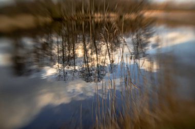 Podlasie 'de küçük bir gölün kıyısında güneşli bir bahar gününde bulanık bir arka planda manzara..