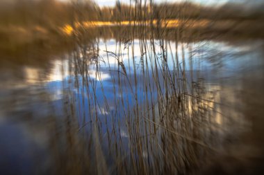 Podlasie 'de küçük bir gölün kıyısında güneşli bir bahar gününde bulanık bir arka planda manzara..
