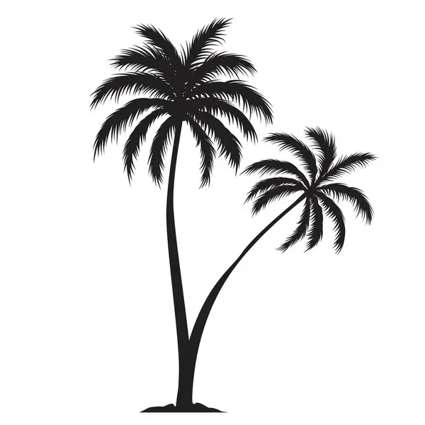 两棵黑棕榈树的形状 一种奇异植物的轮廓 在白色背景上孤立的向量图 图库插图