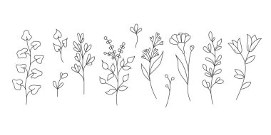 Yabani çiçek ve yaprak koleksiyonu. Doğrusal vektör çizimi Don beyaz arkaplanı izole et