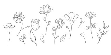 Yabani çiçek ve yaprak koleksiyonu. Doğrusal vektör çizimi Don beyaz arkaplanı izole et