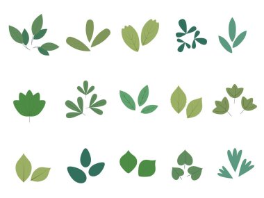 Abstract leaves set, top view. Spring flora. Flat vector illustration on white background
