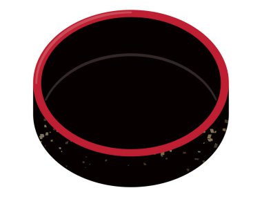 Dairesel suşi görüntüsü.