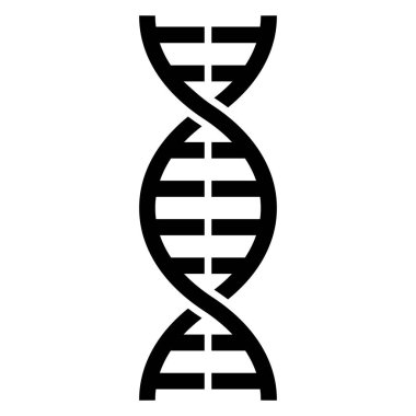 DNA basit vektör gösterimi