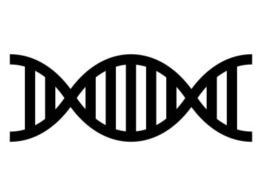 DNA basit vektör gösterimi