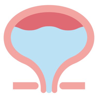 Organ mesanesinin vektör çizimi