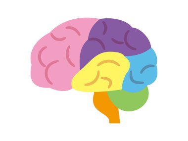 Renkli bir beynin vektör çizimi