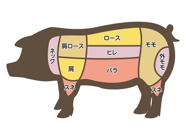 Ilustração Vetorial Partes Porcos — Vetor de Stock