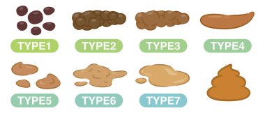 Çeşitli kakaların basit vektör çizimi