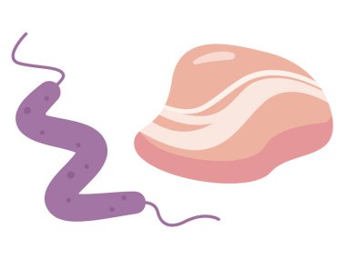 Kampülobacter ve tavuk basit vektör çizimi
