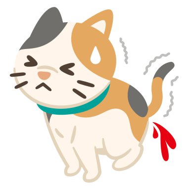 Kanlı dışkıdan muzdarip bir kedi tasviri, basit bir vektör çizimi.