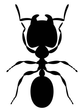 Dev bir karınca tasviri, basit bir vektör illüstrasyonu