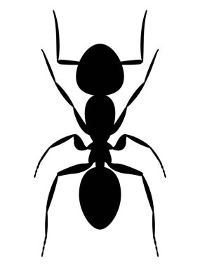 Karınca illüstrasyonu, basit vektör illüstrasyonu