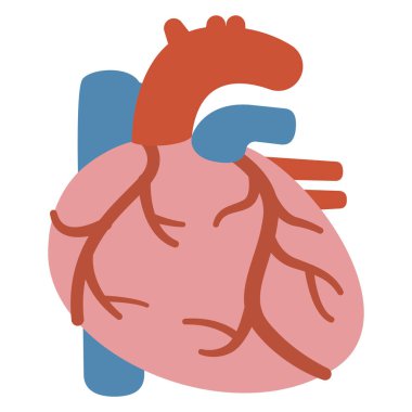 Bir kalbin basit vektör illüstrasyonu