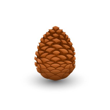 Ladin, köknar, çam veya sedir kozalağı. Gerçekçi vektör çizimi, yeni yıl ve Noel tasarımı için beyaz arka planda izole edilmiş ve çok daha fazlası.