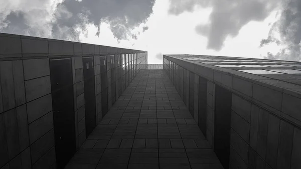 Siyah pencereli beton gökdelen, yüksek bina, bulutlu gökyüzü, yukarı bakıyor, gri tonlu fotoğraf