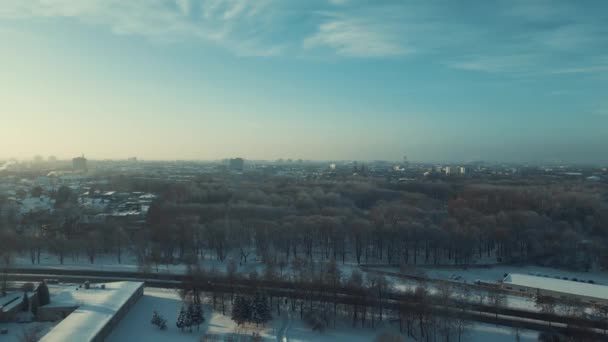Drohne Fliegt Über Park Und Straße Sonnigem Winternachmittag Filmreife Drohnen — Stockvideo