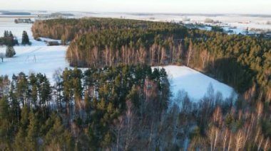 Yüksek irtifadan orman ağaçlarına bakıyorum. Kışın öğleden sonra, gün batımında ağaçların üzerinde uçan drone. Sinema Drone Kış Görüntüleri. Soğuk Kış.