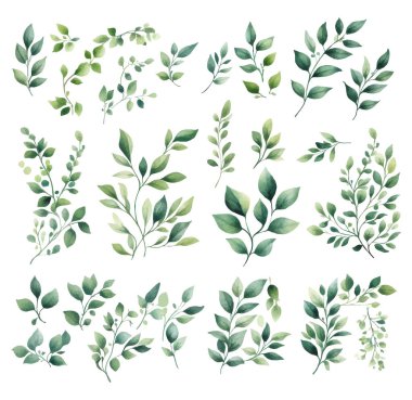 Suluboya Çiçek Clipart, pastel renkli çiçeklerin beyaz arka planda vektör çizimi, klipsli sanat seti
