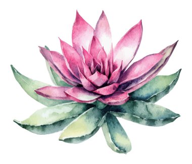 Canlı, yeşil yapraklı ve sulu pembe bir sulu boya çizimi.