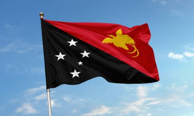 Papua Yeni Gine 'nin ulusal bayrağı, cennet kuşu ve parlak mavi gökyüzüne el sallayan Güney Haçı yıldızları.
