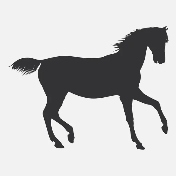 Pferdevektorsymbol Isoliert Auf Weißem Hintergrund Vektorgrafiken