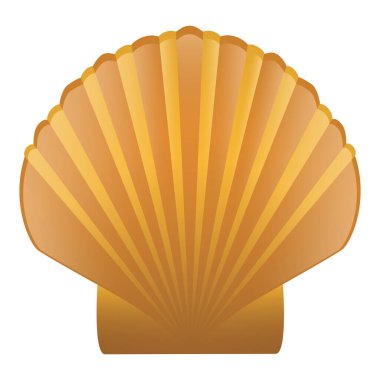 vektör kabuğu beyaz arkaplanda izole