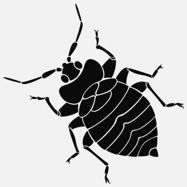 Böcek vektör simgesi beyaz arkaplanda izole edildi