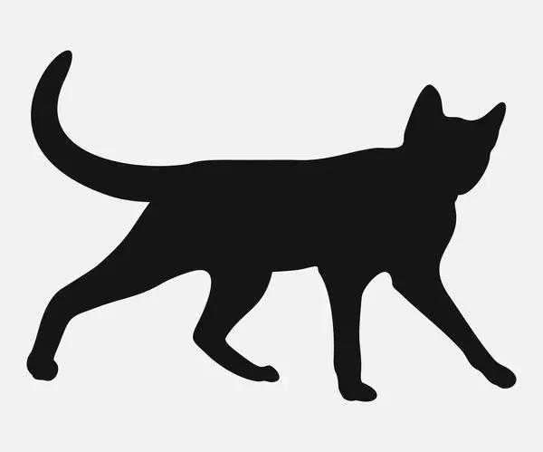 kedi silueti vektör simgesi beyaz arkaplanda izole edildi