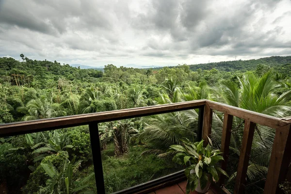 Vista Panorámica Vegetación Tropical Verde — Foto de Stock