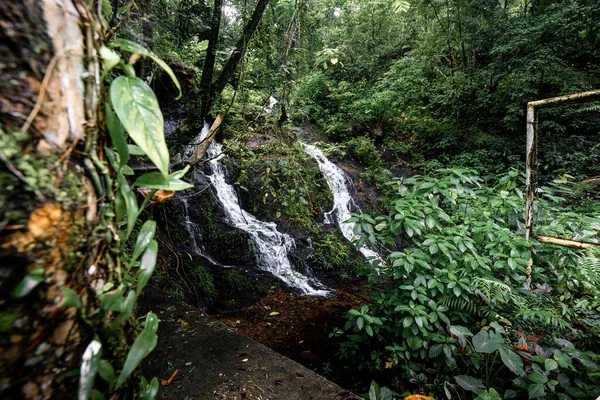 Mini Cascada Chorro Agua Del Bosque —  Fotos de Stock