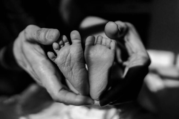 Close up photo to an infant baby's feet held in adult's hand.