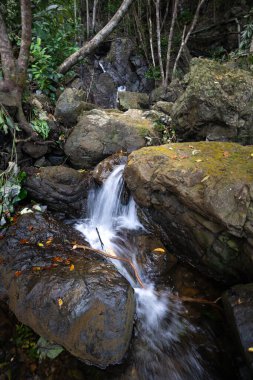 A stunning Diguisit Falls in Aurora cascading down moss-covered rocks in a lush, green forest. The surrounding vegetation and rugged terrain enhance the natural beauty of this peaceful and refreshing wilderness scene. clipart