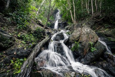 Aurora 'daki göz kamaştırıcı Diguisit Şelalesi yemyeşil bir ormanda yosun kaplı kayalara dökülüyor. Çevreleyen bitki örtüsü ve engebeli arazi bu huzurlu ve ferahlatıcı vahşi doğanın doğal güzelliğini artırıyor..