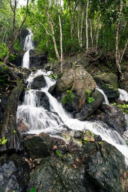 A stunning Diguisit Falls in Aurora cascading down moss-covered rocks in a lush, green forest. The surrounding vegetation and rugged terrain enhance the natural beauty of this peaceful and refreshing wilderness scene. clipart