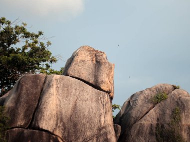 Görkemli Mucizeler: Tropik Ada Sahilinde Büyük Kayalar