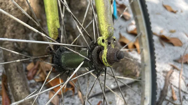 Tekerlekli bisiklet tekerleği