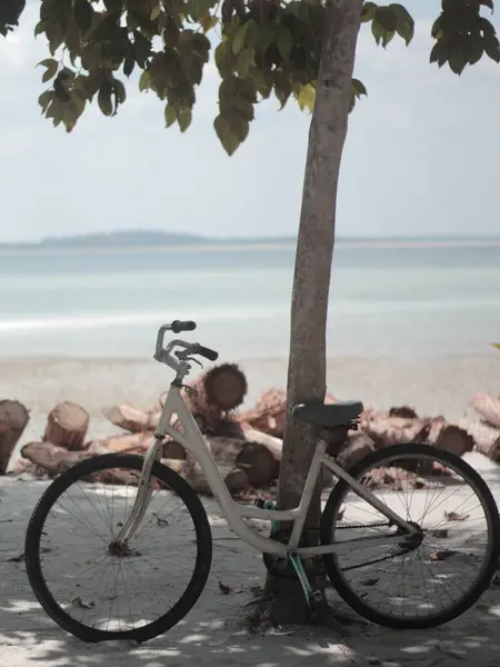 Sahilde bisiklet.