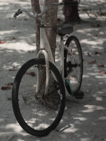 Bicicleta Velha Parque — Fotografia de Stock