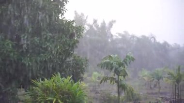 Şiddetli Sağanak: Doğanın Öfkesi Serbest Bırakıldı