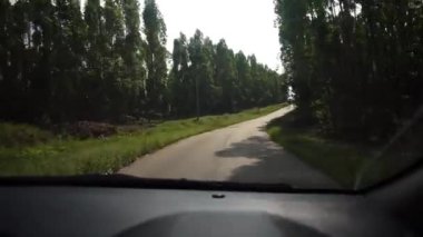 Araba Kontrol Panelinden Manzaralı Orman Sürüşü