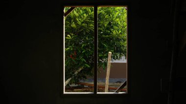 Bir Evin Penceresinden Bakış Açısı