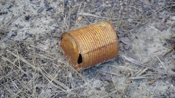 Paslı alüminyum yiyecekler doğaya atılabilir.