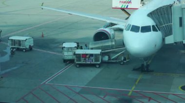 Havaalanı mürettebatı uçaktan nakliye aracına yükleme yapıyor.