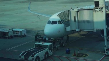 Soekarno-Hatta Havaalanı 'ndaki uçak parkı.