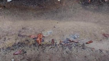 Yağmur damlaları Toprakta Su birikintileri oluşturuyor