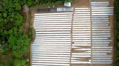 İHA Tarım Alanı Görüntüsü Gümüş Muşamba Kaplama ile Bitkiye Hazırlandı