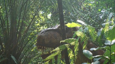 Turizm Alanındaki Antik Orman Çekiminde Dinozor Heykelleri
